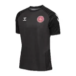 Denmark X Bls 2022 Hafnia Limited Edition Gk Jersey