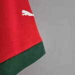 Morocco 2022 World Cup Home Jersey