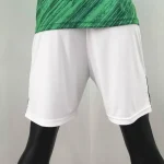 Northern Ireland 2020 Home Shorts