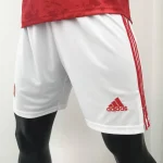 Russia 2021 Home Shorts