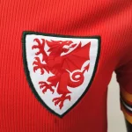 Wales 2020 Home Jersey