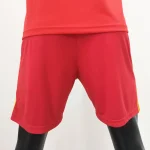 Wales 2020 Home Shorts