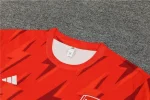 Arsenal 2023-24 Training Suit