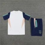 Ajax 2023-24 Training Suit