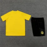 Borussia Dortmund 2023-24 Training Suit