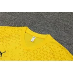 Borussia Dortmund 2023-24 Training Suit