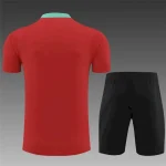 Portugal 2024-25 Training Suit