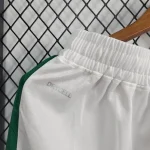 Palmeiras 2024/25 Away Shorts