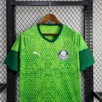 Palmeiras 2024/25 Pre-Match Training Jersey